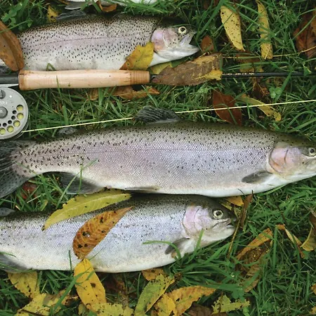 Holiday home Sdr Skovvej Norre Nebel V *