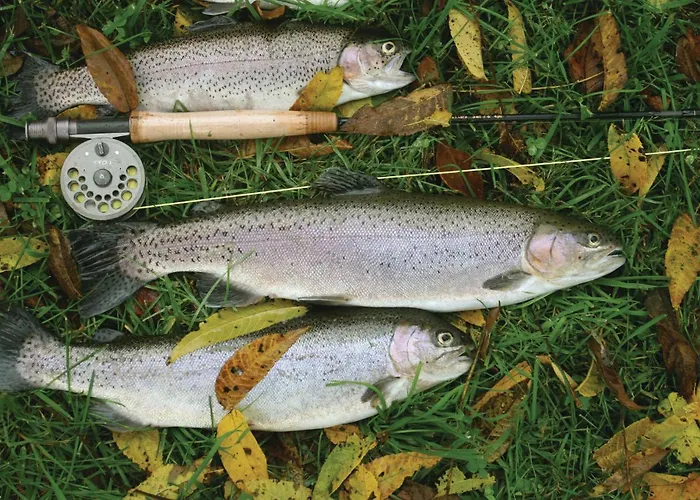 Holiday home Sdr Skovvej V *